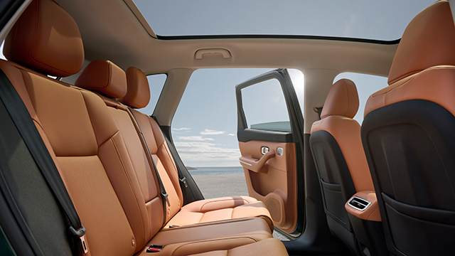 Bild mit dem Titel: leap_motor1171_02