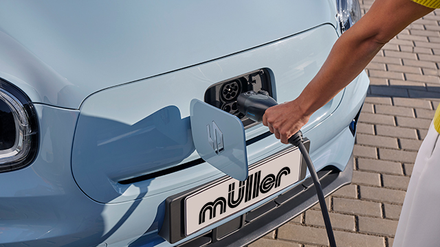 Bild mit dem Titel: msb8963