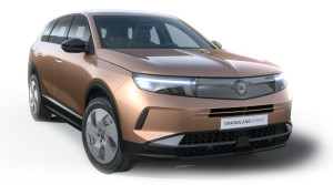 Bild mit dem Titel o_grandland_freisteller