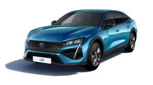 Bild mit dem Titel p_408_sw