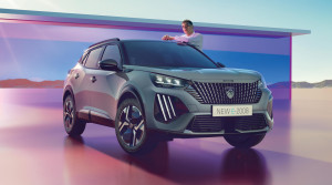 Bild mit dem Titel freisteller_e_2008