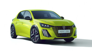 Bild mit dem Titel freisteller_e-208