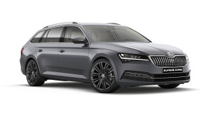 Bild mit dem Titel s_superb