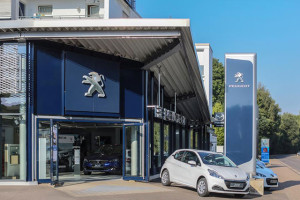 Bild mit dem Titel peugeot_sls